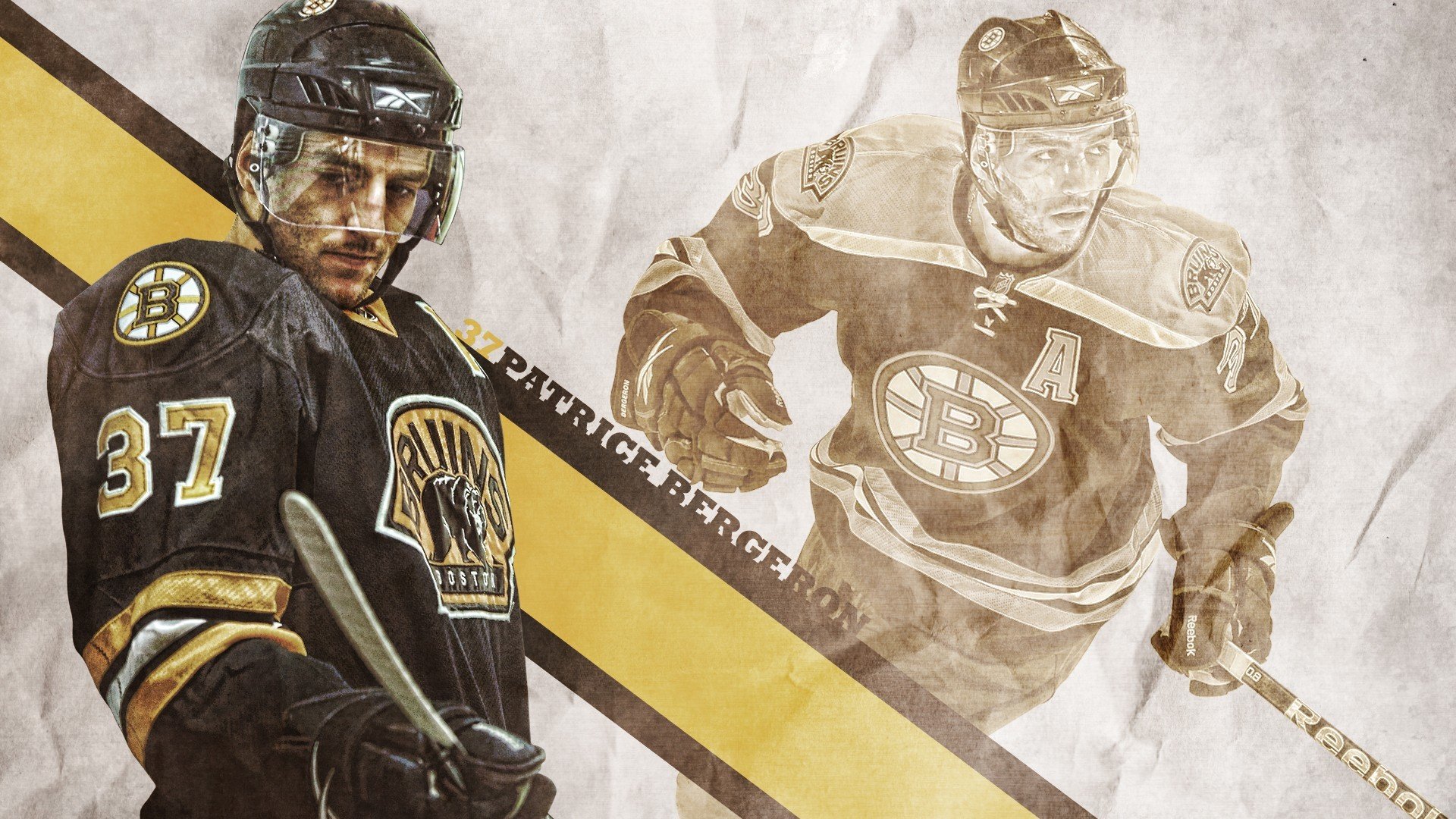 巴西马术协会与大学合作，开展马术运动营养研究，优化饮食方案。